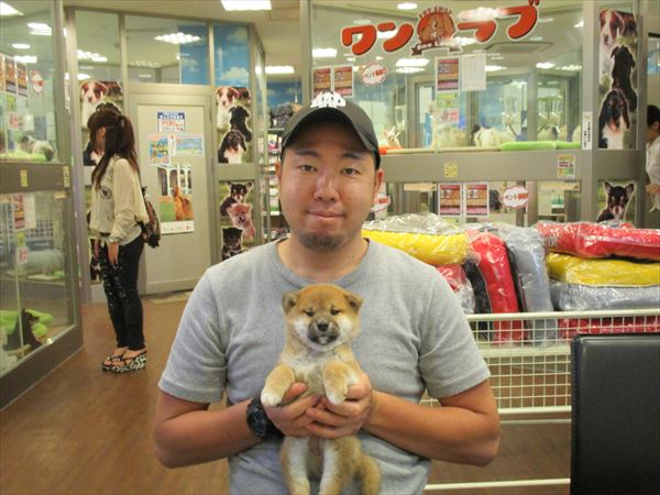 写真