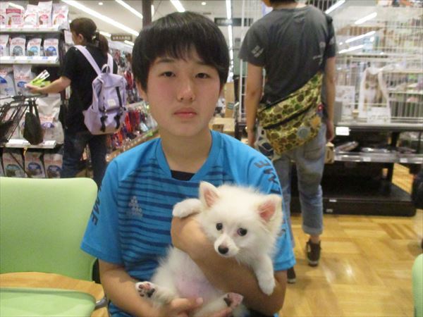 写真