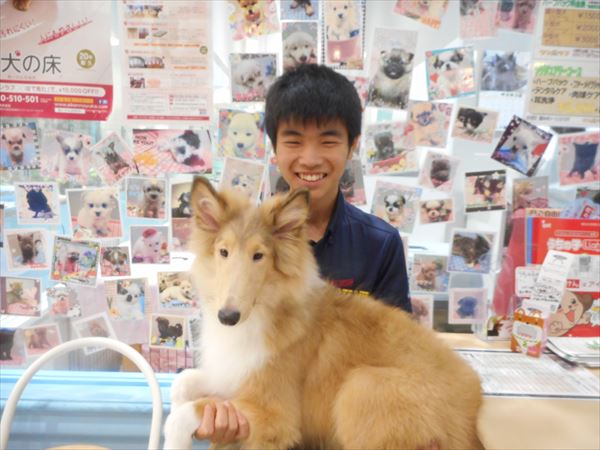 写真