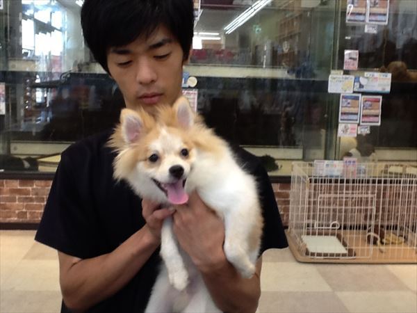 写真