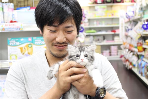 写真