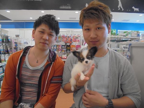 写真