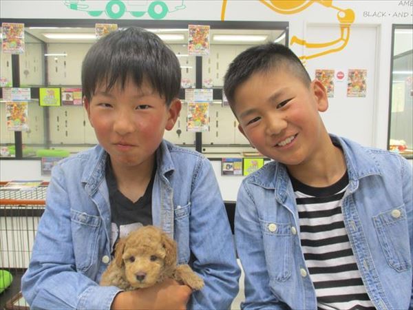 写真