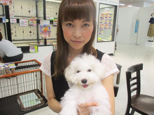 写真