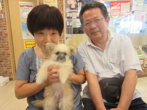 写真