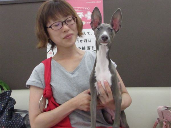 写真