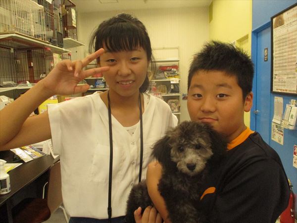 写真