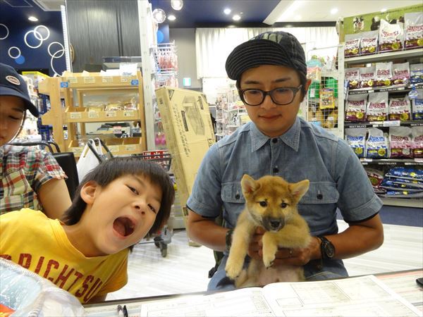 写真