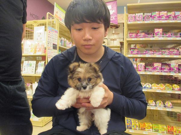 写真