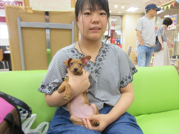 写真