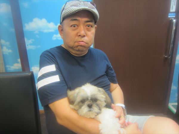 写真