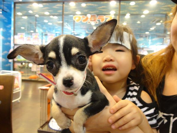 写真