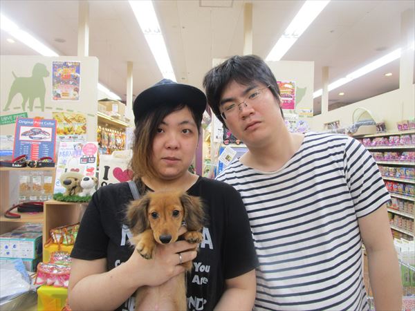 写真