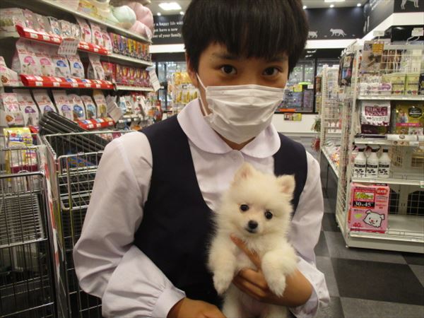 写真