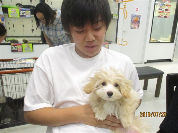 写真