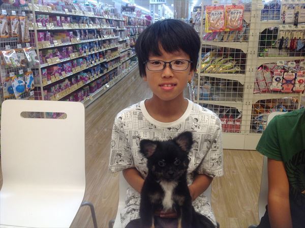 写真
