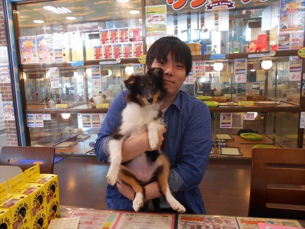 写真