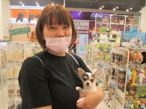 写真
