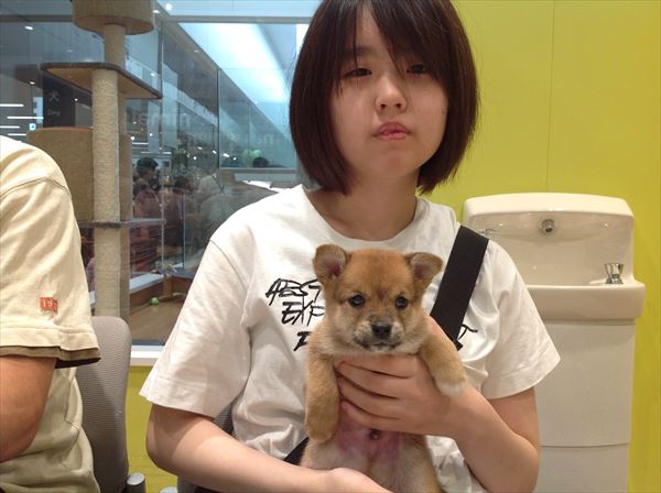 写真