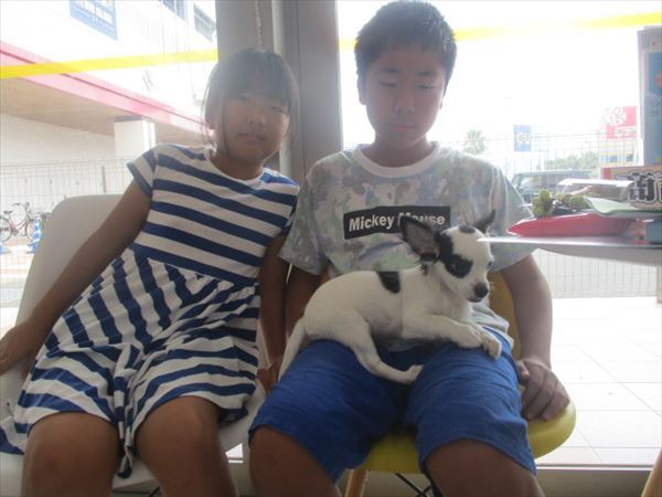 写真