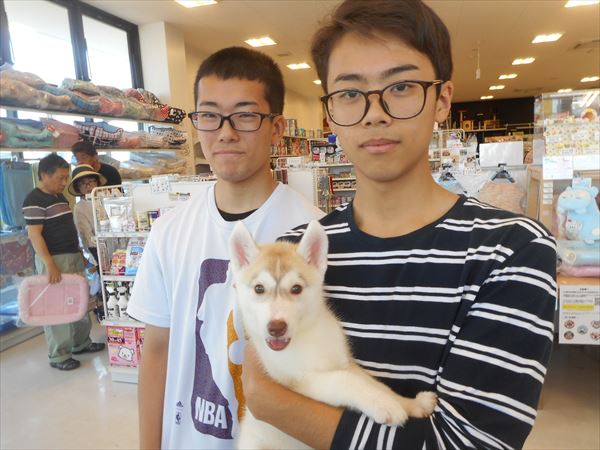 写真
