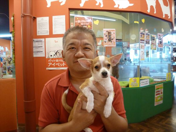写真