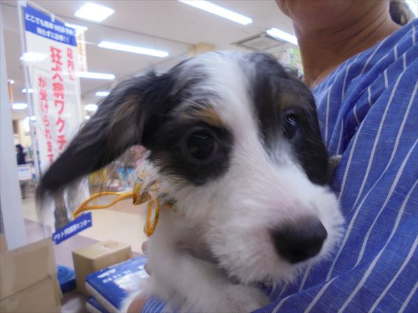 写真
