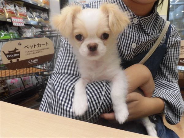 写真