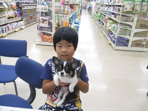 写真