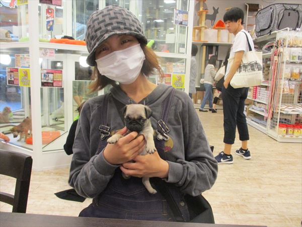 写真