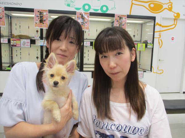 写真