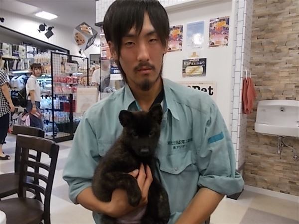 写真