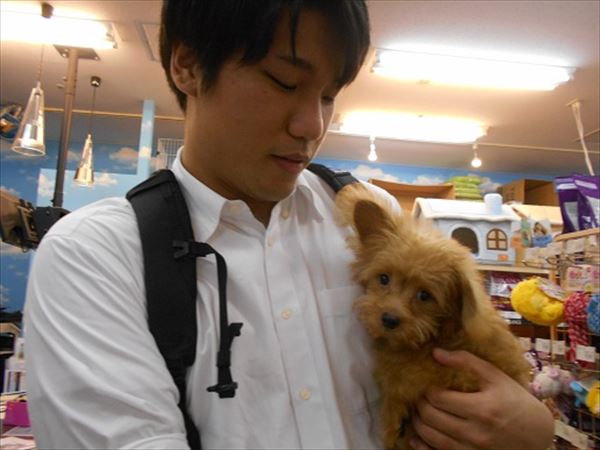 写真
