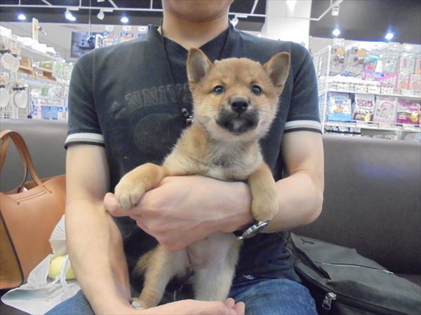 写真