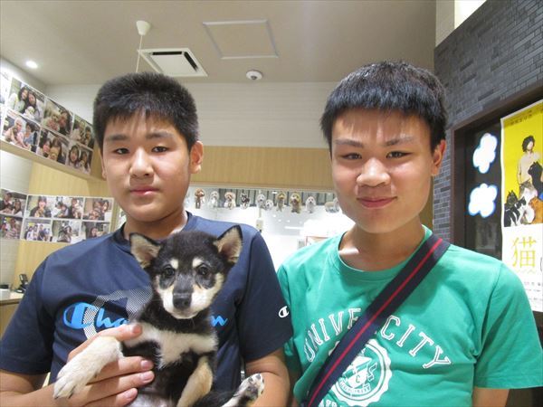 写真