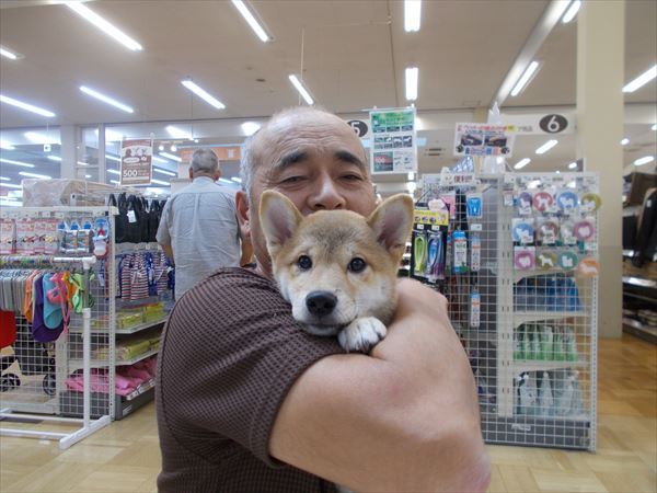 写真