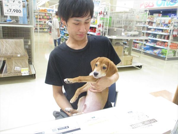 写真