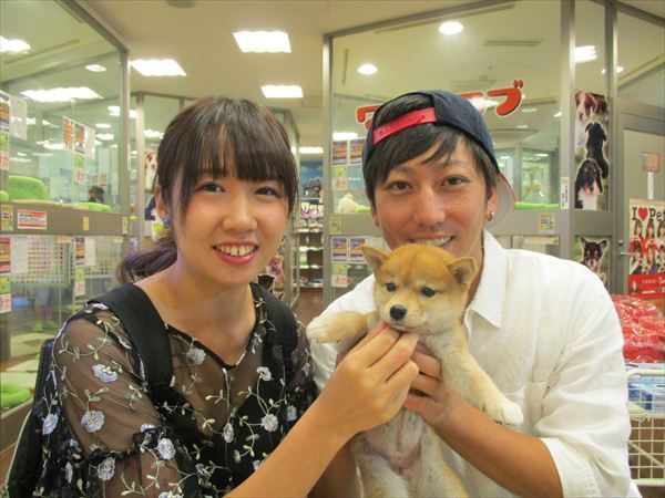 写真