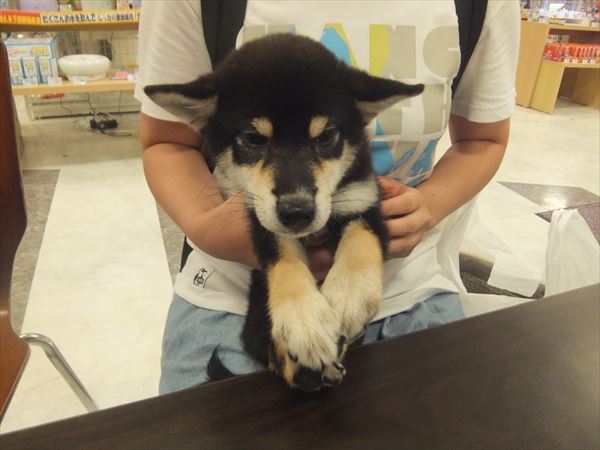 写真