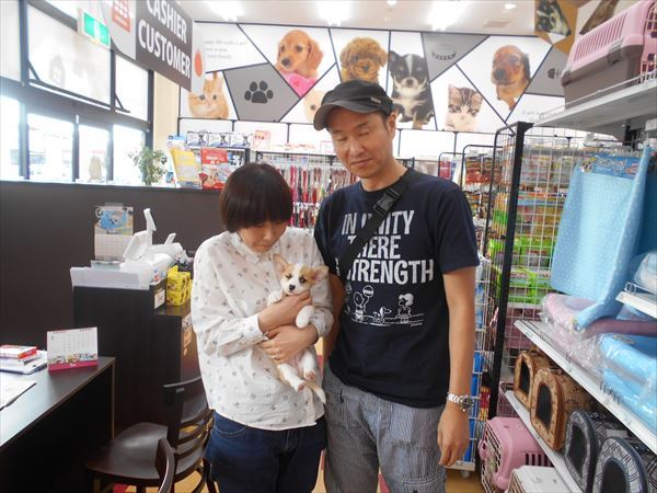 写真