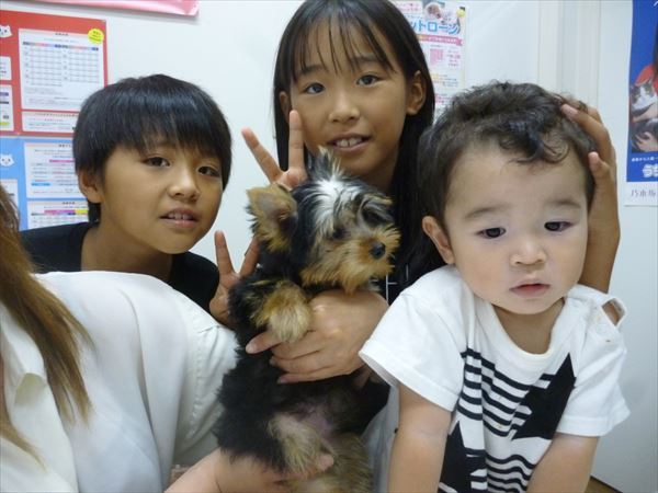 写真