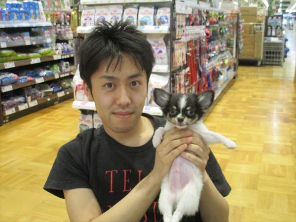 写真