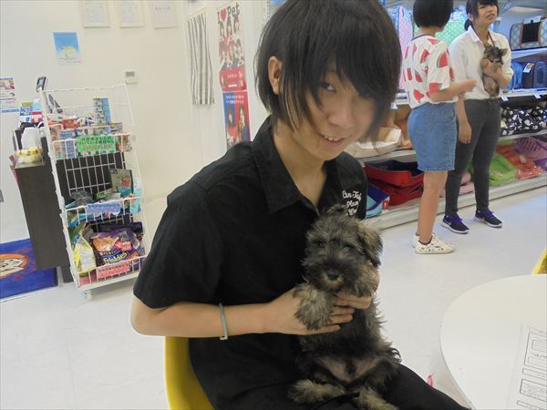 写真