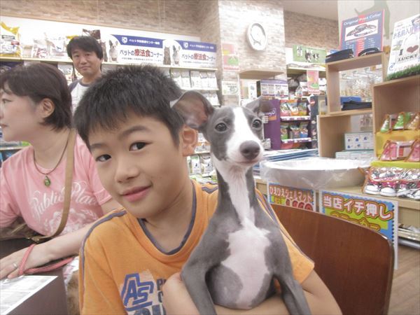 写真