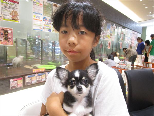 写真
