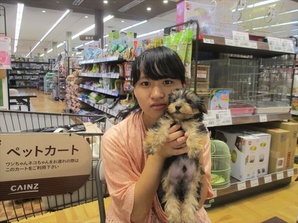 写真