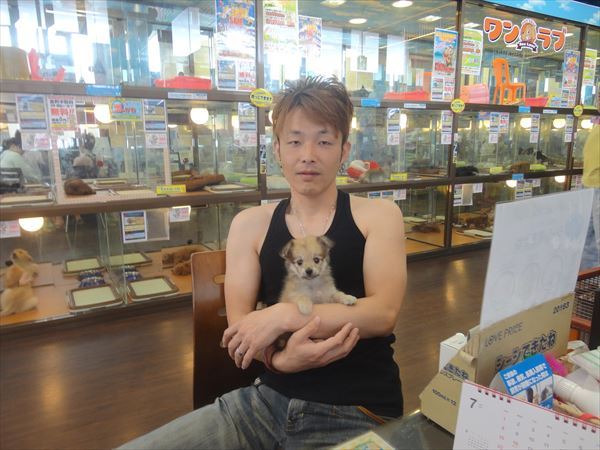 写真