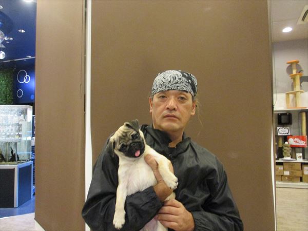 写真