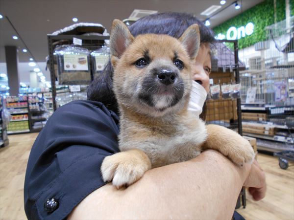 写真