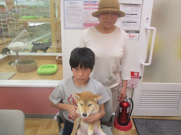写真